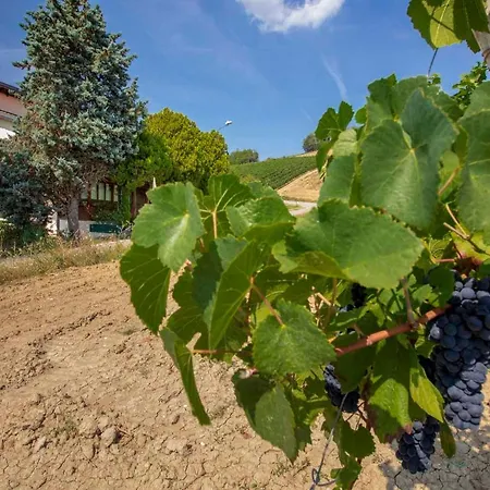 Casa Vacanze Colline Oltrepo' Séjour à la campagne Torre Gandini